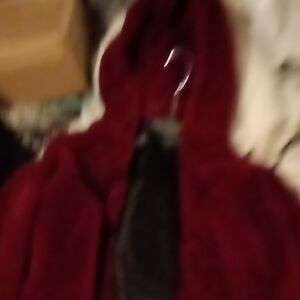 Cozy Red Hooded Jacket
